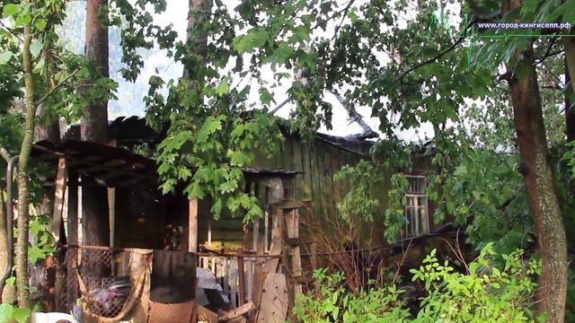 В Кингисеппе сгорел частный дом смотреть онлайн