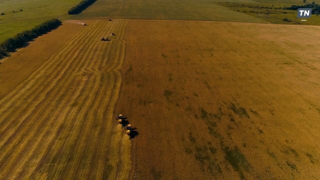 Ролик ко дню рождения Татарстана смотреть онлайн