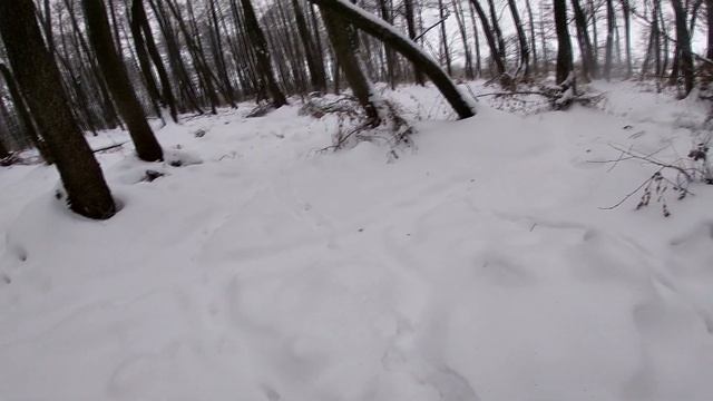 Первая охота 2019 смотреть онлайн