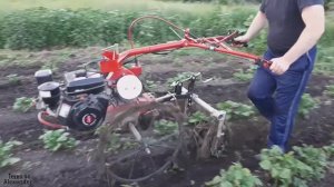 Испытания самодельных ежей для прополки картофеля