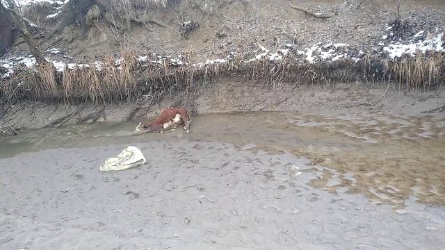 Осмотр русла реки. смотреть онлайн