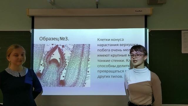 Определение типа ткани у растений смотреть онлайн