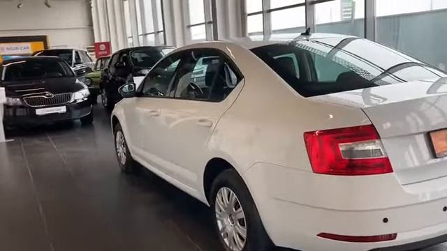 Skoda Octavia 2019 года выпуска смотреть онлайн