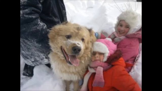 БОСЯТКА смотреть онлайн