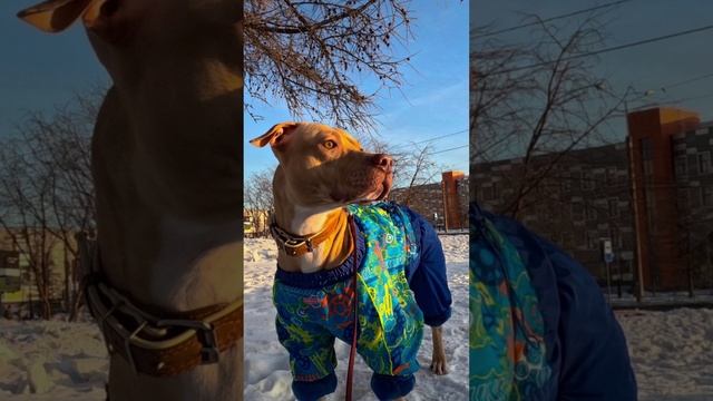2023-02-04 смотреть онлайн