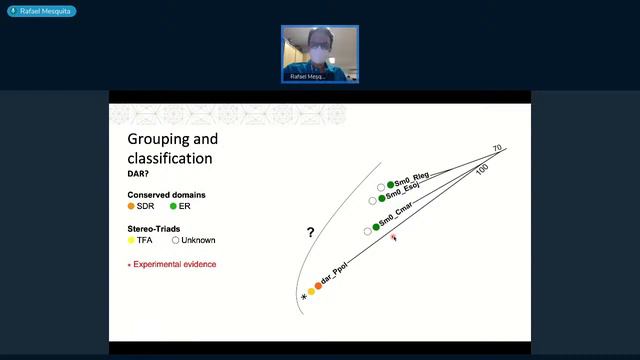Seminário Do Centro - Rafael Dias Mesquita