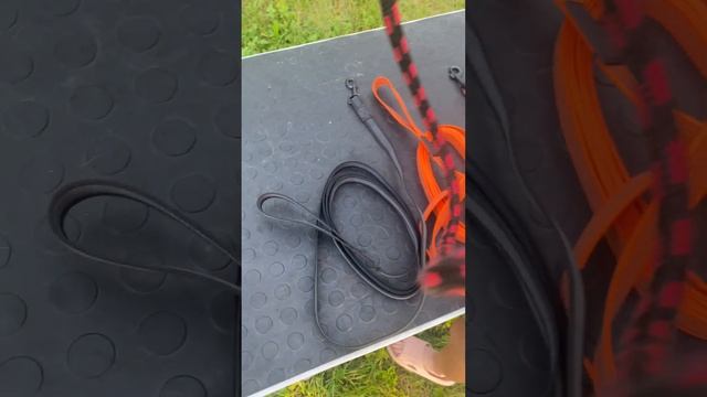 Обзор поводков для собак | Какой поводок лучше для собаки. Поводок для щенка. Bär Vom Matterhorn смотреть онлайн