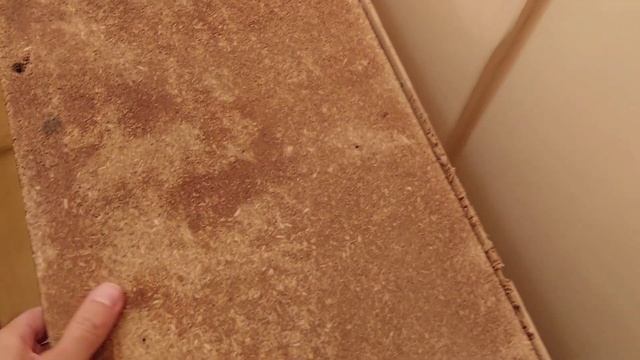 Расхламление Дома, выбросил что ненужное разобрал тумбу 24.06.2022 смотреть онлайн