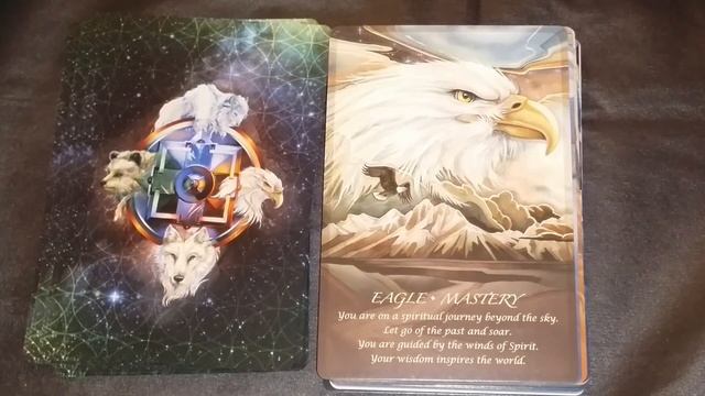 Tarot Review Spirit of the Animals Oracle Part 2 смотреть онлайн