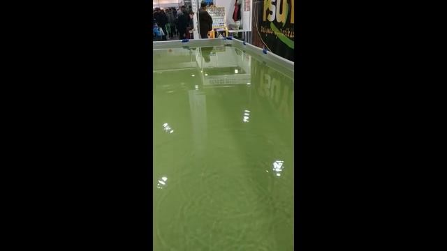 Новинки2019.Выставка!!! Воблеры TsuYoki.