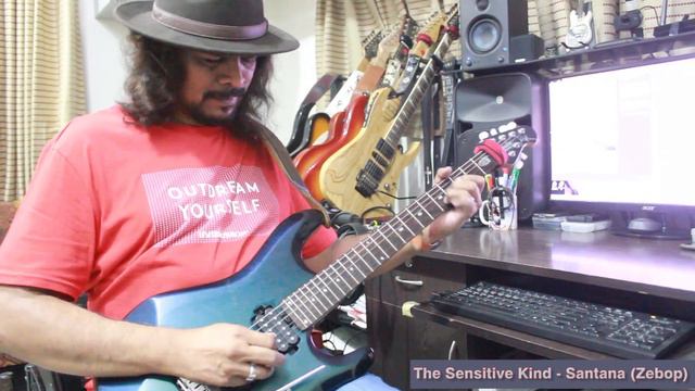 Santana | The Sensitive Kind Guitar Solo Cover смотреть онлайн