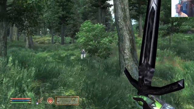 Let's Play The Elder Scrolls IV: Oblivion GOTY Deluxe Part 218: Sins of The Father смотреть онлайн