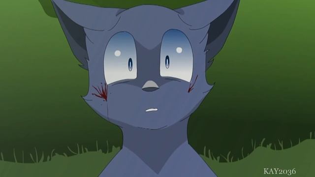 ТОП 5 самых ЛУЧШИХ анимаций по КОТАМ-ВОИТЕЛЯМ