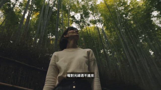 【日本旅遊】2023年第一次來京都旅遊必去景點🇯🇵 | 嵐山竹林、哲學之道、法觀寺、千本鳥居 смотреть онлайн