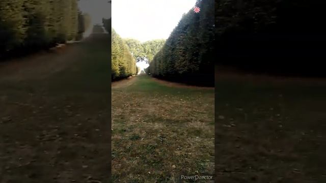 Palace King 14 Château de Versailles | Beautiful King Palace of Château Versailles смотреть онлайн