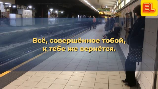 Цитаты смотреть онлайн