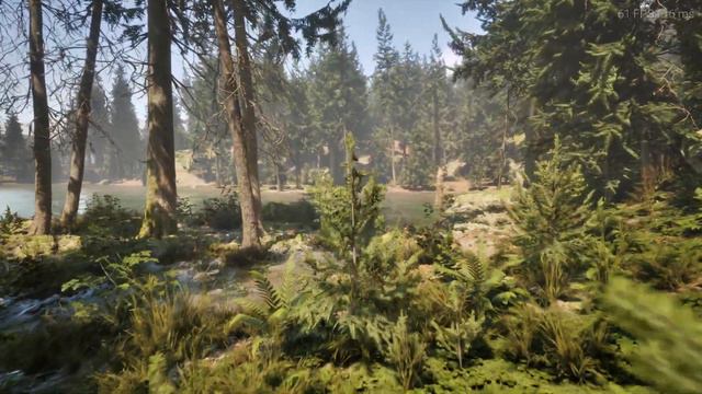 Beautiful Skyrim Forest Walk 4K | ULTRA REALISTIC TECH DEMO | UNREAL ENGINE 5 | RTX 4090 смотреть онлайн