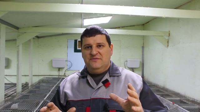 РАЗВЕДЕНИЕ И СОДЕРЖАНИЕ КРОЛИКОВ от А до Я в одном видео. смотреть онлайн