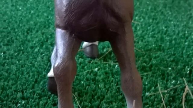 Фото лошадей) смотреть онлайн