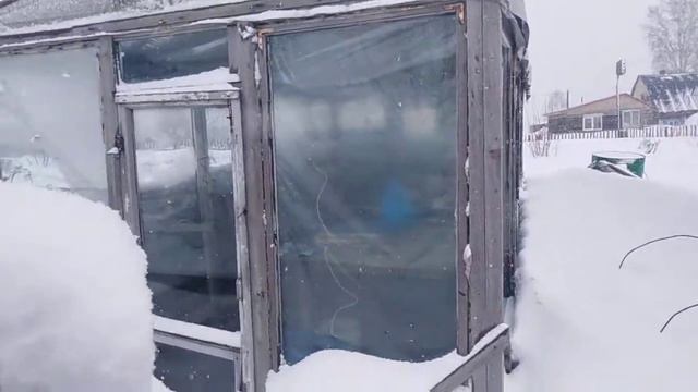 Пора садить капусту? 3 апреля смотреть онлайн