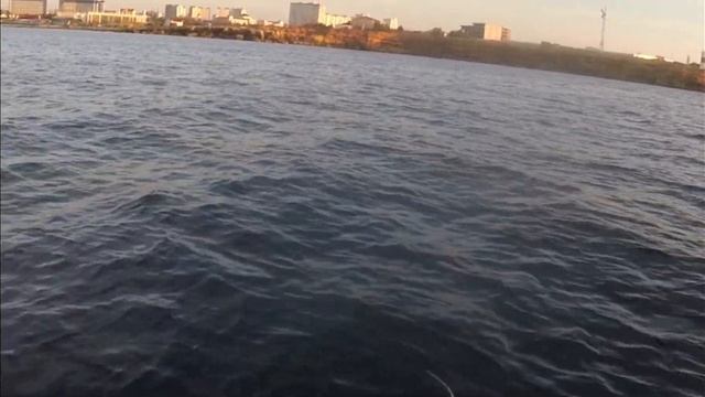 Шок! Как поймать Саргана на пилькер от заброса до поимки! SANDEEL от DenchikLures. 25 Октября 2020 смотреть онлайн