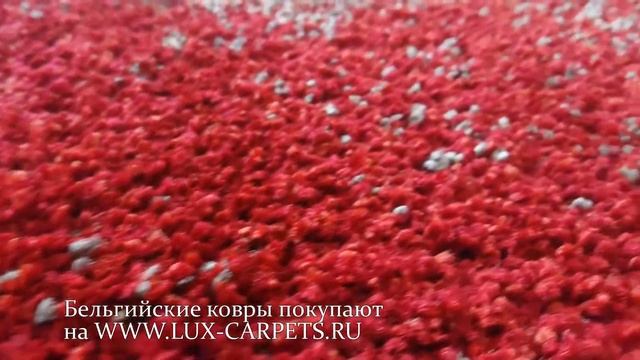 Ковер бельгийский Nobless cosy 62457183. Доставка по России. смотреть онлайн