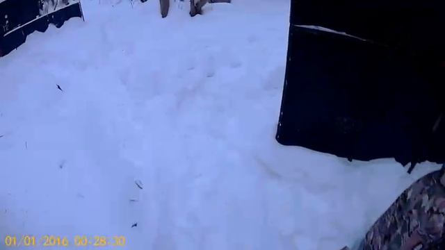 Страйкбо́л. Видео от первого лица. смотреть онлайн