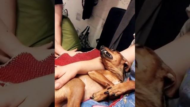 Вот какая бывает ревность... смотреть онлайн