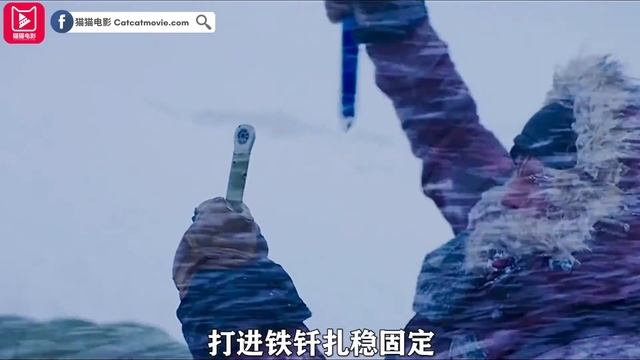 猫猫电影介绍《北极》短视频 смотреть онлайн