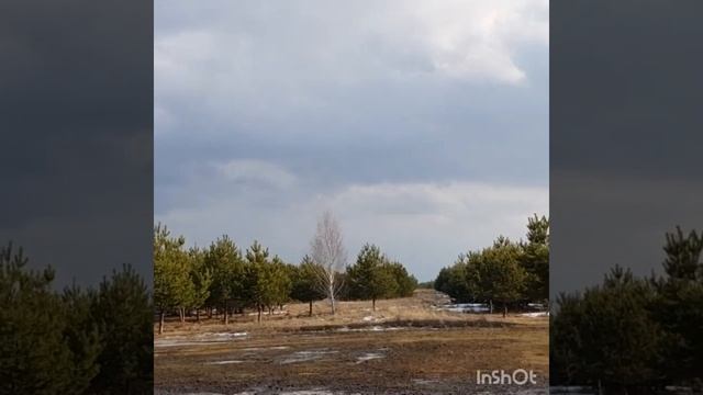 Фрагменты из обычной жизни и рецепт котлет из перловки. смотреть онлайн