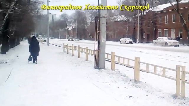 Когда открывать виноград? смотреть онлайн