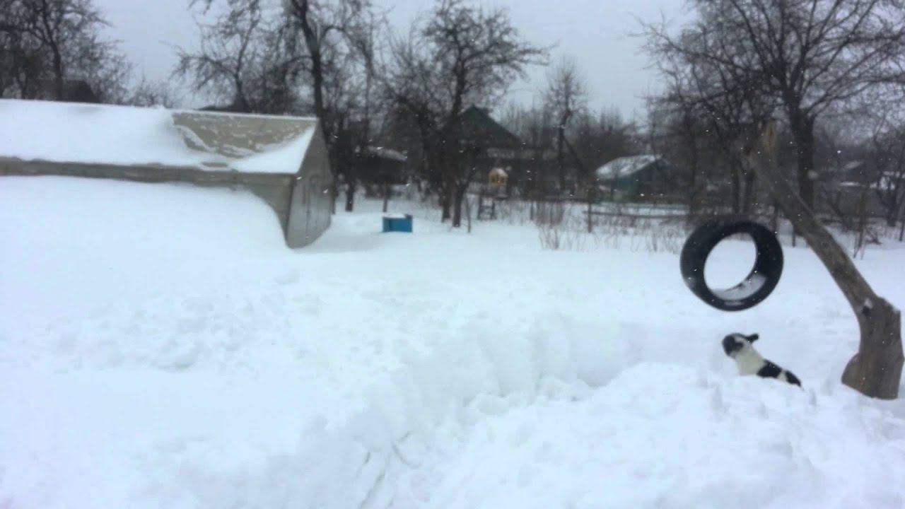 Мороз воевода дозором обходит владенья свои