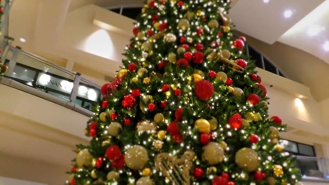 WHO DESTROYED OUR CHRISTMAS? | Mystery Elf 2 | We Are The Davises смотреть онлайн