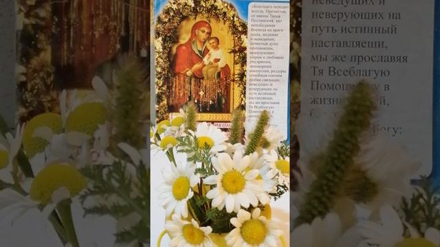 Песчанская. смотреть онлайн