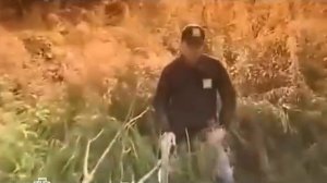 Таинственная Россия Тверская область  Чудовище по соседству