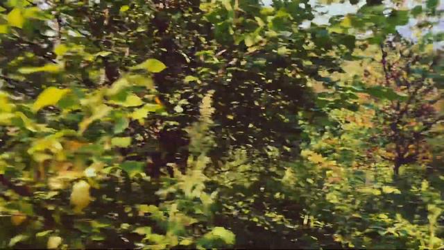 КУПАЕМСЯ НА ВОЛГЕ | ПЕТРИНСКИЕ ЛУГА НИЖЕГОРОДСКАЯ ОБЛАСТЬ VLOG 03/08/23 16+ смотреть онлайн