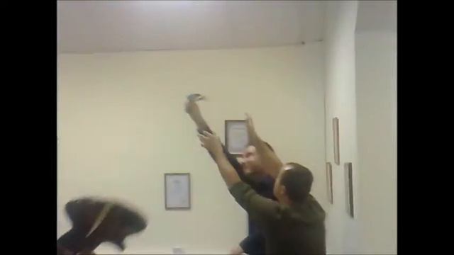 ВРЕМЕННАЯ РЕГИСТРАЦИЯ - Музыкальная скотина смотреть онлайн