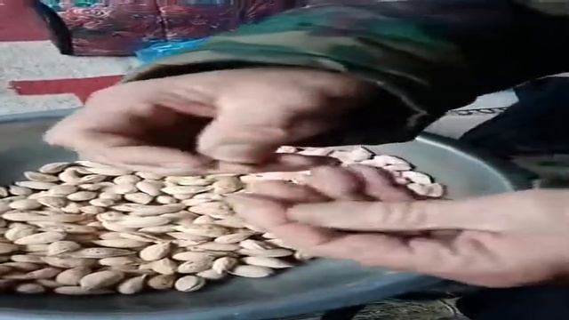 Миндаль северный: смотреть онлайн