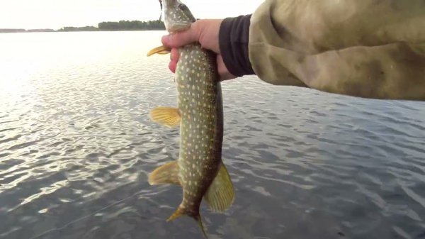 Типичный Уткуль. Ну сколько можно