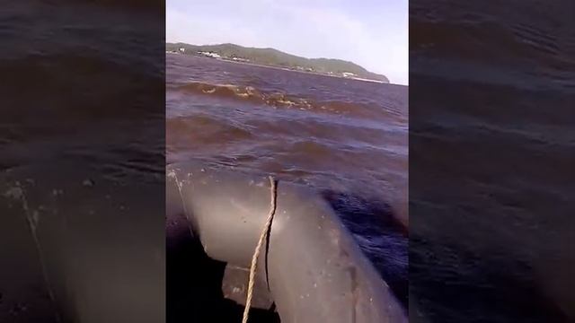 Экстрим Хабаровск.Падение с лодки.Лодка Мурена ,мотор Parsun 3.5 против течения смотреть онлайн