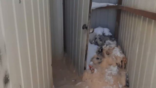 обществены туалет в Якутске 😓 смотреть онлайн