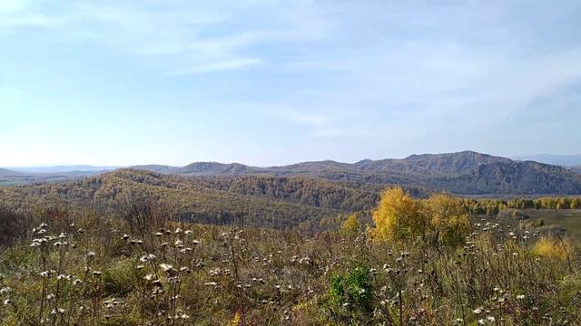 Лес, точно терем расписной смотреть онлайн