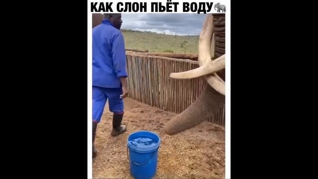 ПРИКОЛЫ 2022 смотреть онлайн