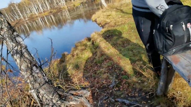 ОДНО ИЗ САМЫХ ПРЕКРАСНЫХ МЕСТ В РОССИИ КАМЧАТКА! ДИКАЯ ПРИРОДА, ОЗЕРО С ПРОЗРАЧНОЙ ВОДОЙ, РЫБАЛКА.