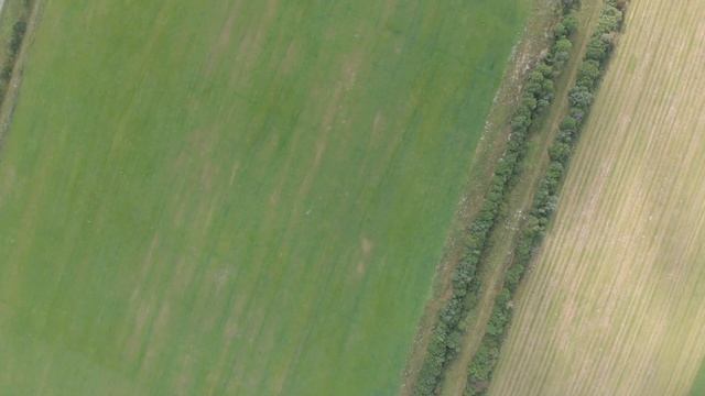 Населенные пункты с высоты: деревня Яльгелево, Ломоносовский район, Ленинградская область l Мавик смотреть онлайн