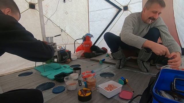 Зимняя ловля плотвы на Ладоге (новый рекорд) смотреть онлайн
