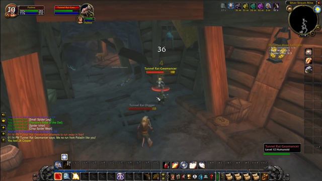 Episode 26 - Paladin! HC WoW Classic Challenge! All Classes to 60! смотреть онлайн