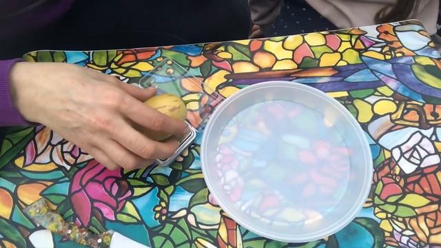 Пепино / Solanum pepino muricatum смотреть онлайн