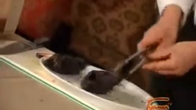 Видео рецепт Баклажаны запеченные с сыром смотреть онлайн