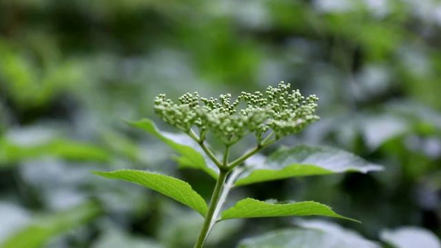 Flexform - Home At Last